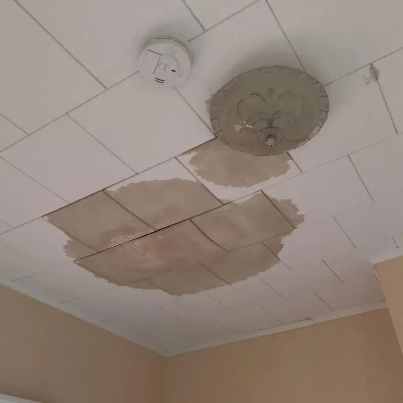 Ceiling Water Damage Repair in Fairmont, MN