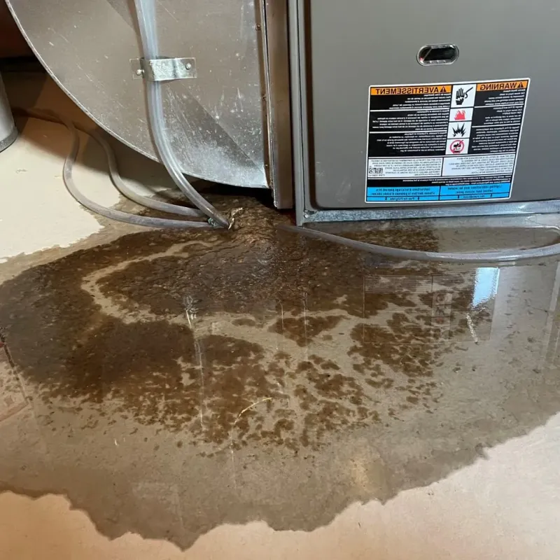 Pipe Burst and Leak Restoration in Fairmont, MN