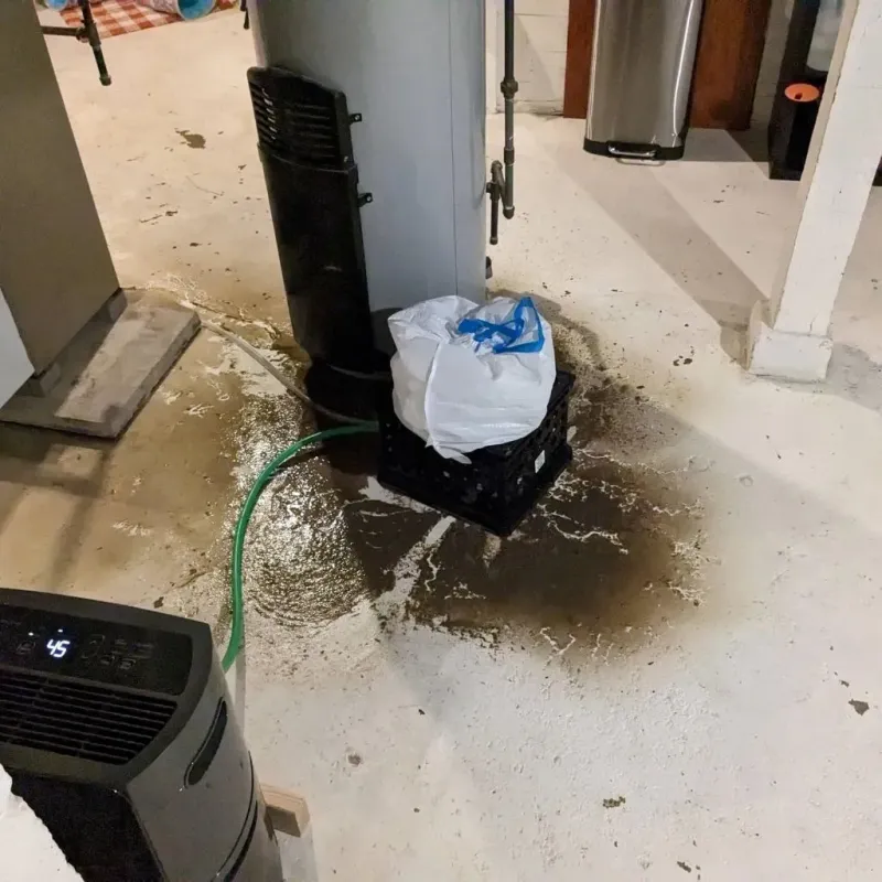 Sewage Backup Cleanup Service in Fairmont, MN